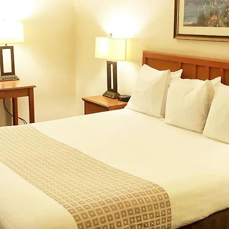 Newport Channel Inn-2