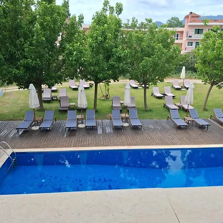 Palmyra Hotel-2