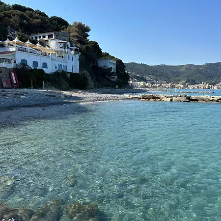 Hotel Mambo-2