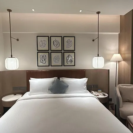 Dolphin Hotel-3
