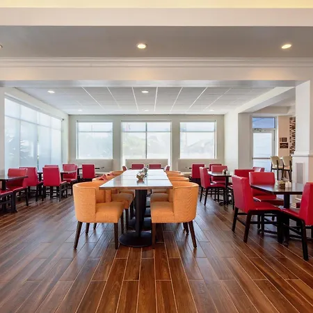 Hilton Garden Inn Tampa Northwest/Oldsmar-2