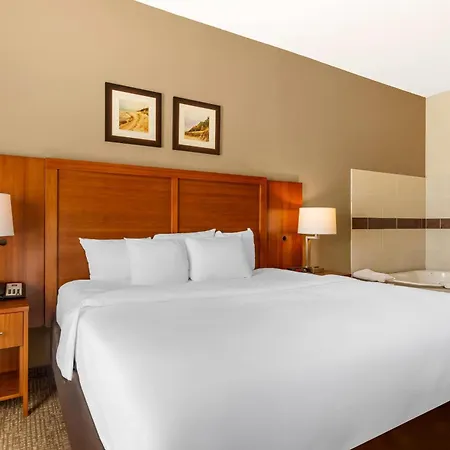 Comfort Inn & Suites Porter Near Indiana Dunes-2