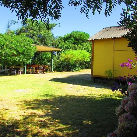 La Nueva Ensenada-2