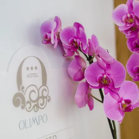 Hotel Olimpo-3