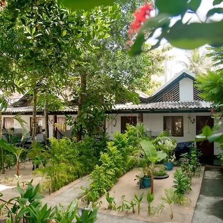Bay Dreams Beach Hotel & Surf Camp-3