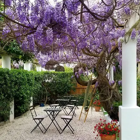 Chez Louis-3