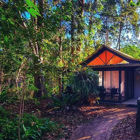 Byron Bay Rainforest Resort-2
