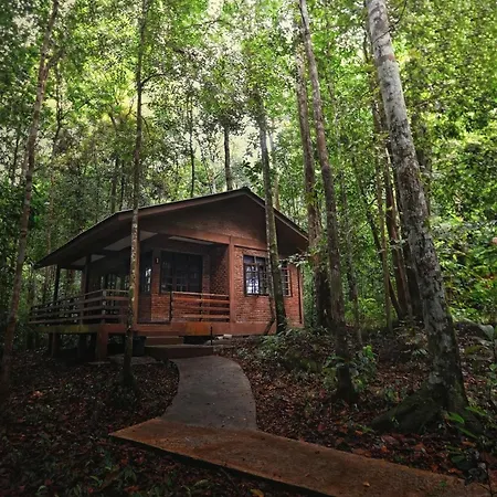 Permai Rainforest Resort-2