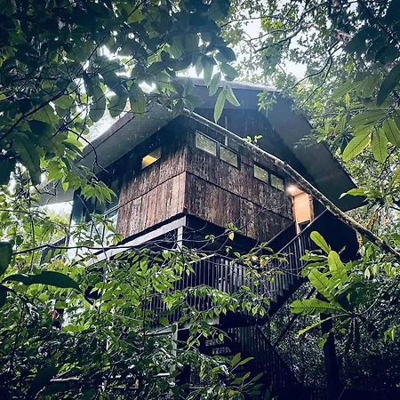 Permai Rainforest Resort-3