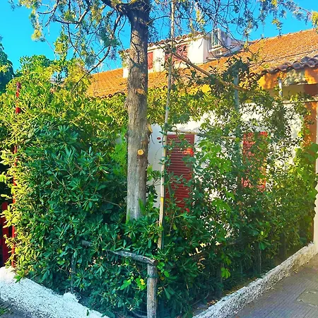 Case Vacanze a Rossano-3