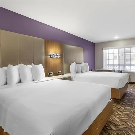 Best Western Airport Plaza Hotel - Lax Airport La Stadium-2