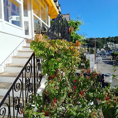 Dolphin Guest House-2