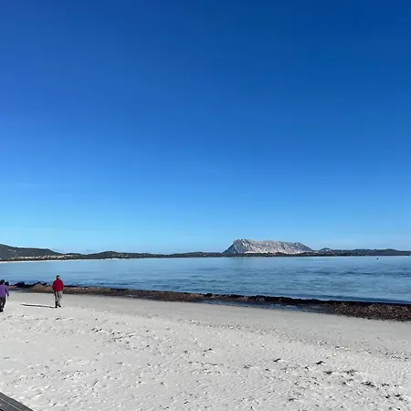 HOTEL Al FARO , SPIAGGIA LA CINTA ,SAN TEODORO-2