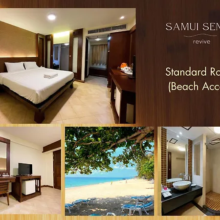 Samui Sense Revive-2