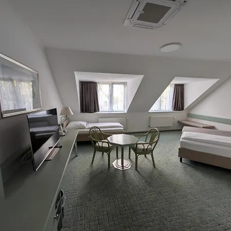 Hotel Christinenhof garni - Bed&Breakfast-3