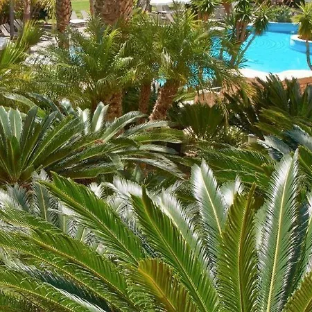 Ria Park Hotel & Spa-3