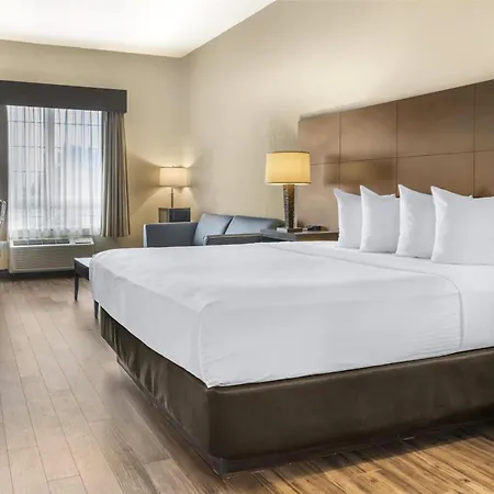 Best Western Plus Saint John Hotel & Suites-3