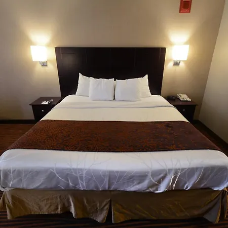 Best Western Executive Hotel New Haven-West Haven-3