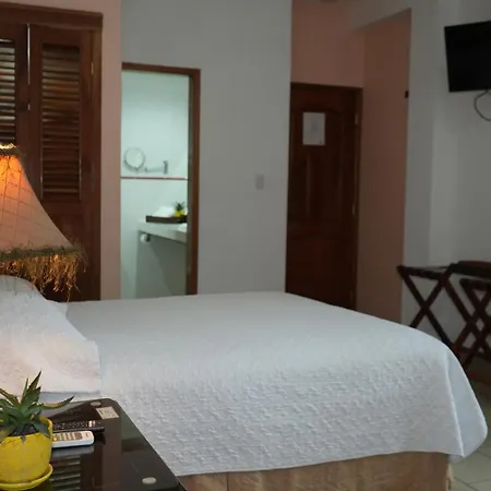 Hotel Casa del Arbol-3