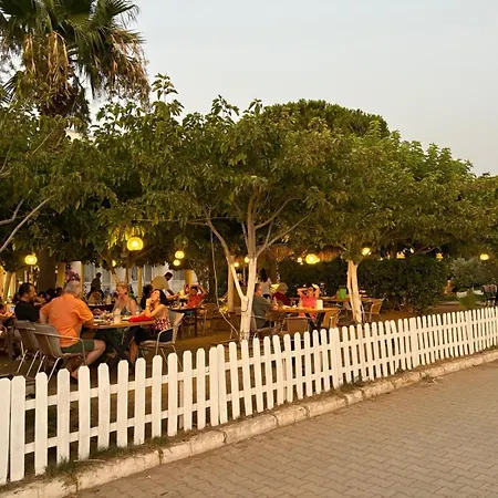 Palmiye Hotel-2