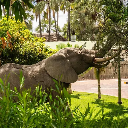 Maun Lodge-2