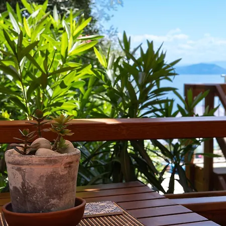 Antares Boutique Guesthouse-3