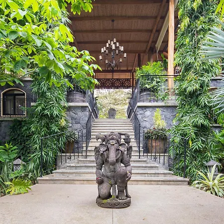 Bodhi Tree Yoga Resort-3