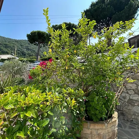 Hotel Sant'Andrea-3