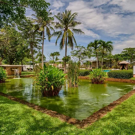 Samanea Beach Resort & Spa-2
