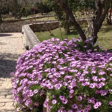 Volidiera Guesthouse-3