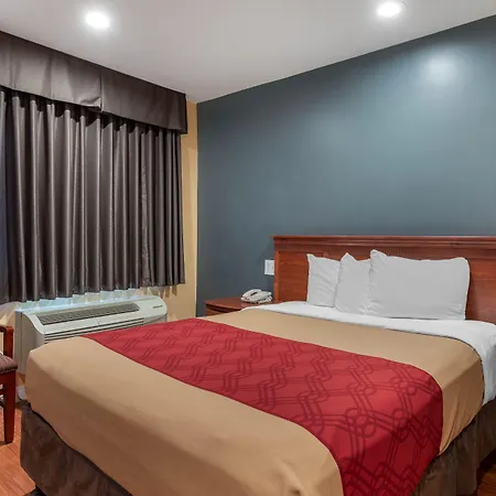 Rodeway Inn Carson - Los Angeles South-2
