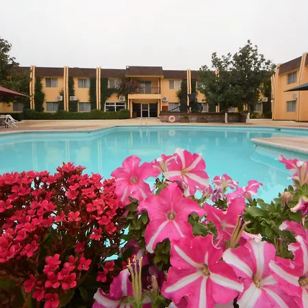Hotel Sicomoro-3