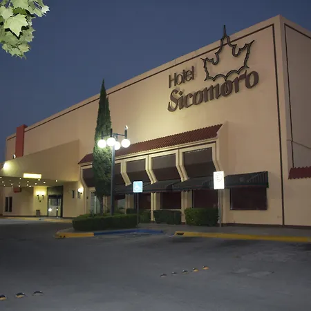 Hotel Sicomoro-2