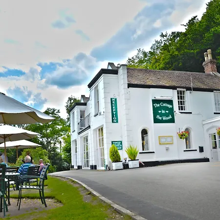 Cottage In The Wood-2