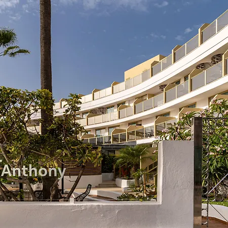 Sir Anthony-2