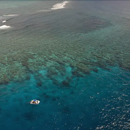 Nukubati Great Sea Reef-3