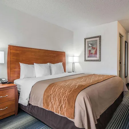 Quality Inn Denver Westminster-3