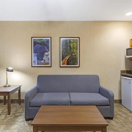Best Western Plus Valemount Inn & Suites-2
