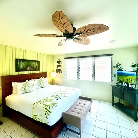 Big Island Retreat - No Resort Fees-2