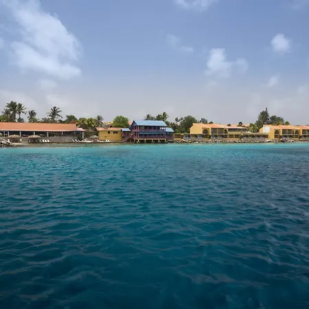 Divi Flamingo Beach Resort-3