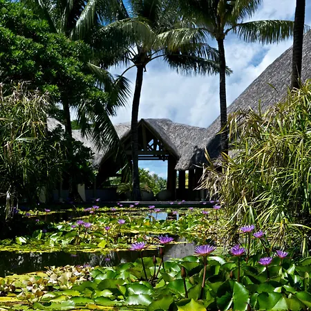 Westin Bora Bora Resort & Spa-2