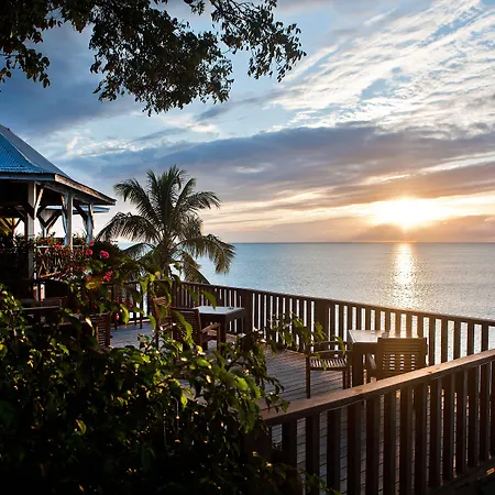 Cocos Hotel Antigua (Adults Only)-3