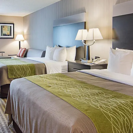 Comfort Inn Camden-2