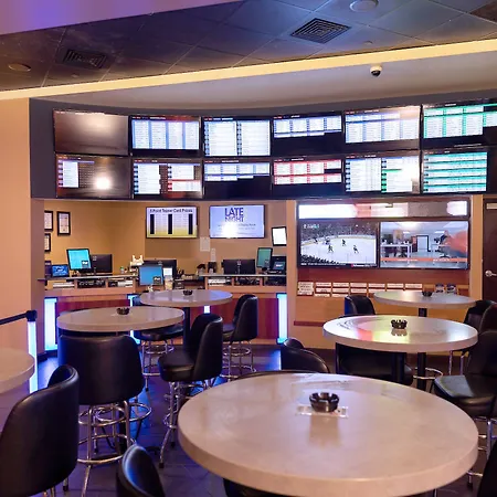 Treasure Bay Casino & Hotel-Adults Age 21 And Above-2