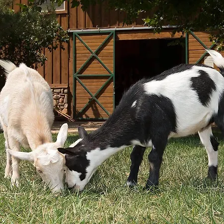 Sorrel River Ranch Resort & Spa-2
