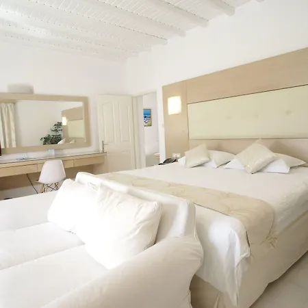 Dionysos Luxury Hotel Mykonos-2