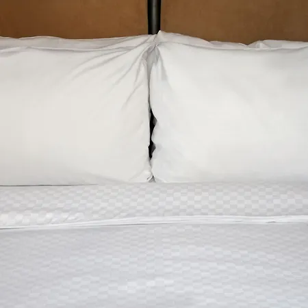 Four Points By Sheraton - San Francisco Airport-2