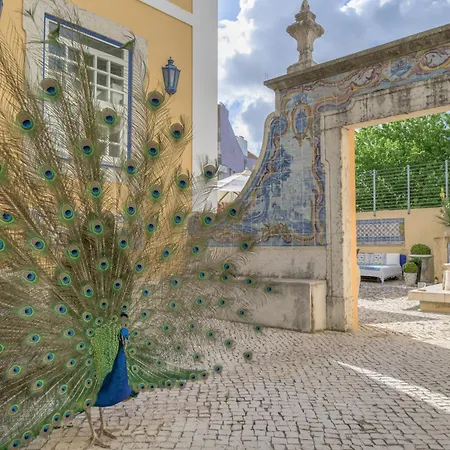 Solar Do Castelo - Lisbon Heritage Collection - Alfama-2