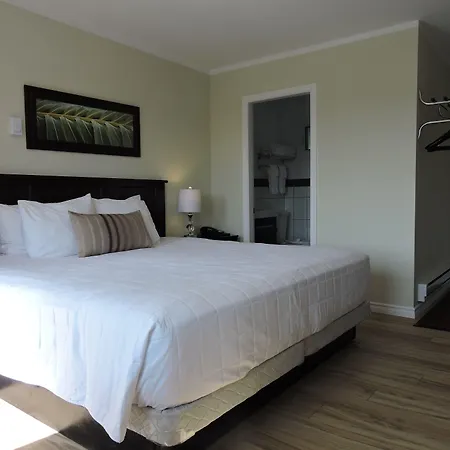 Almo Court Motel-3