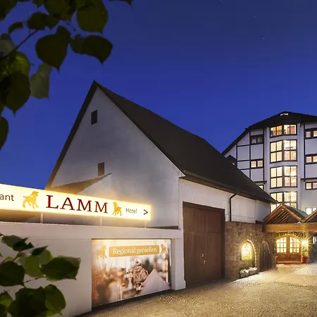 Hotel Lamm-3